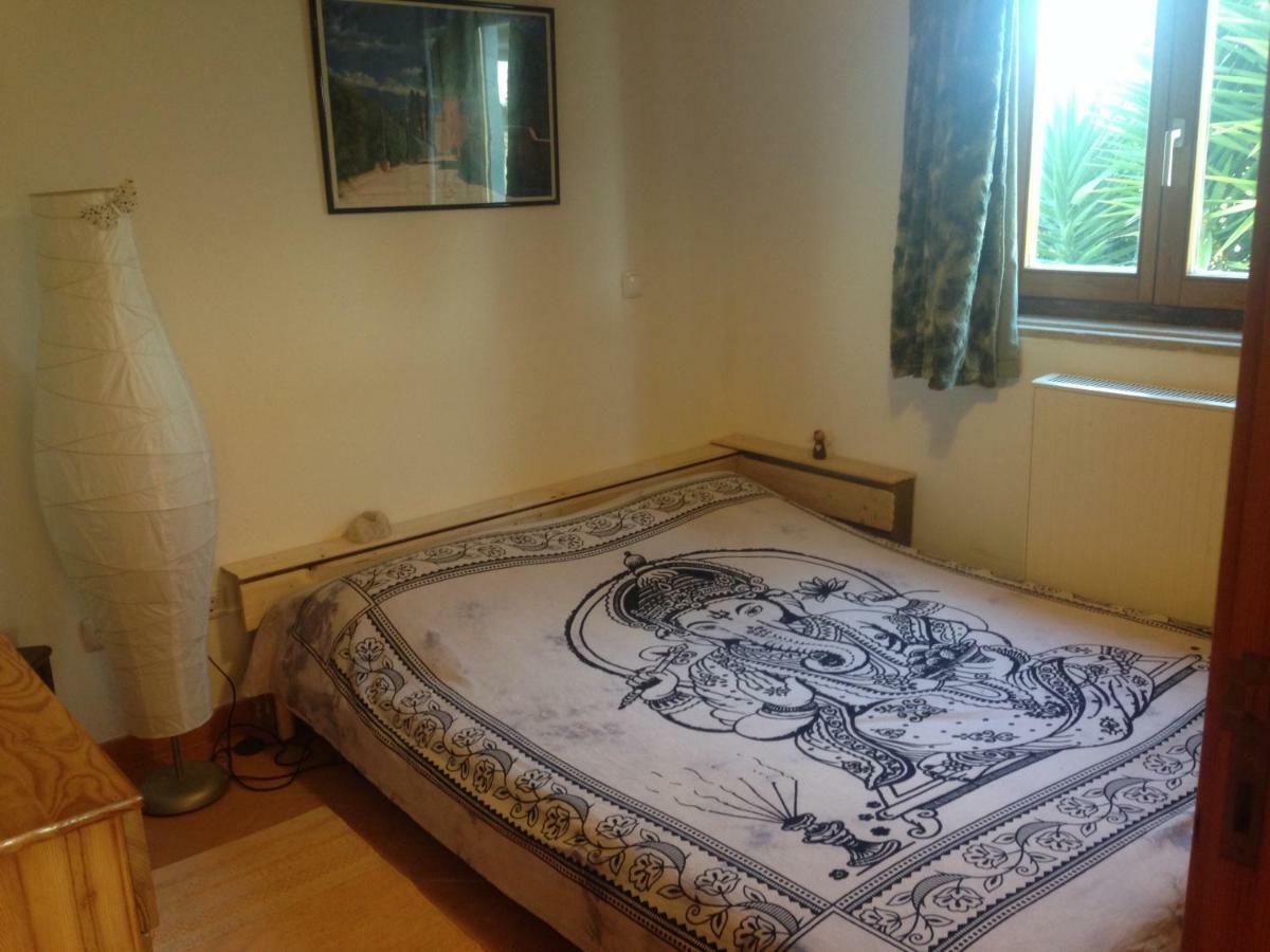 Bed and Breakfast Quintinha Mojud Rogil Exteriér fotografie